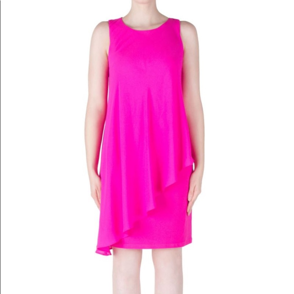 Joseph Ribkoff dress